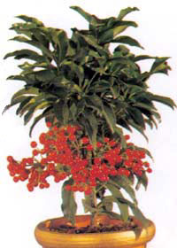 www.microlana.ru